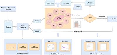 Application of machine learning in the prediction of deficient mismatch repair in patients with colorectal cancer based on routine preoperative characterization